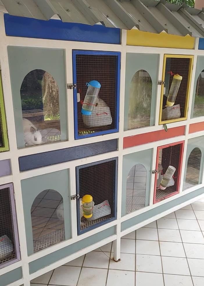 Bunny Area at Discovery Ancol