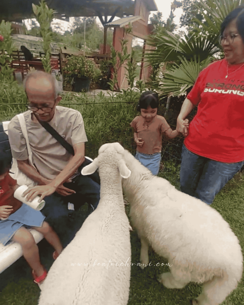 Wisata Anak di sentul